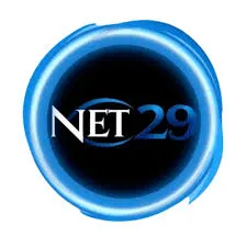 NET29 - Permainan Strategi yang Menantang dan Seru